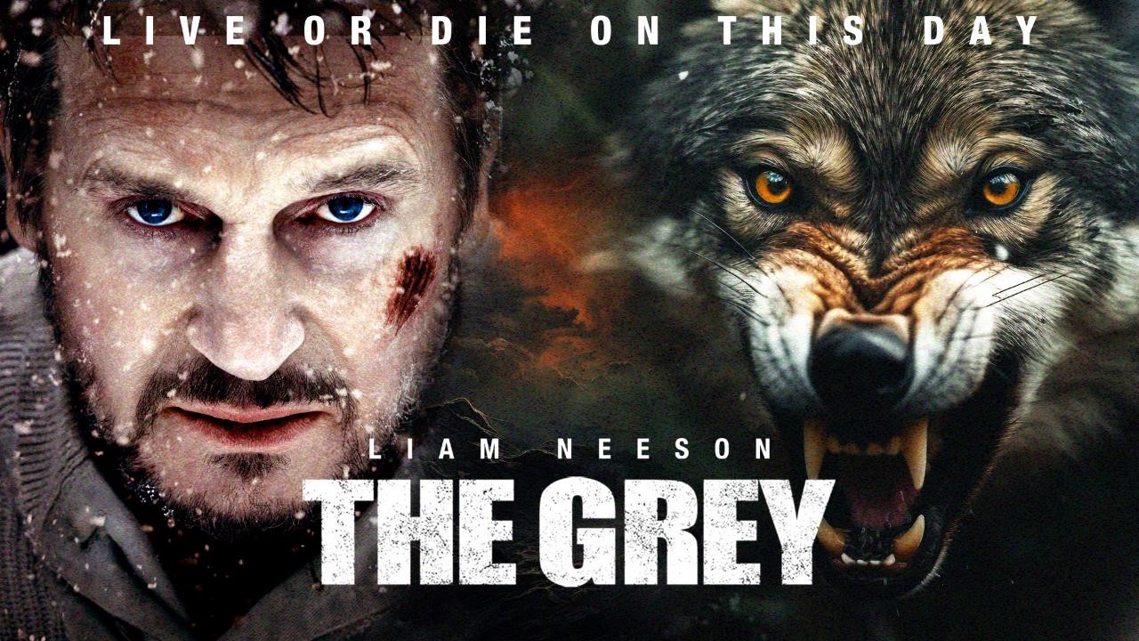 THE GREY